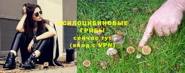 винт Аркадак