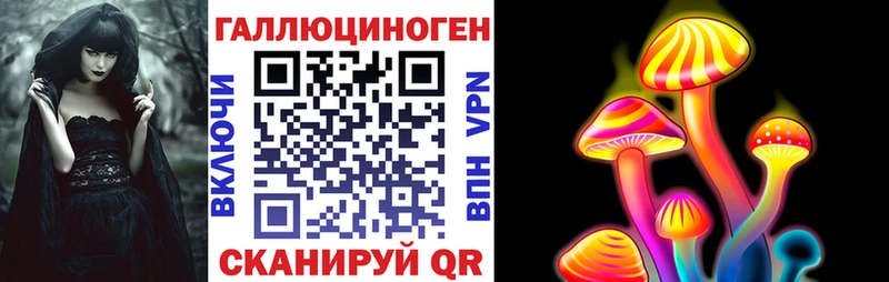дарнет шоп Ижевск Псилоцибиновые грибы Magic Shrooms
